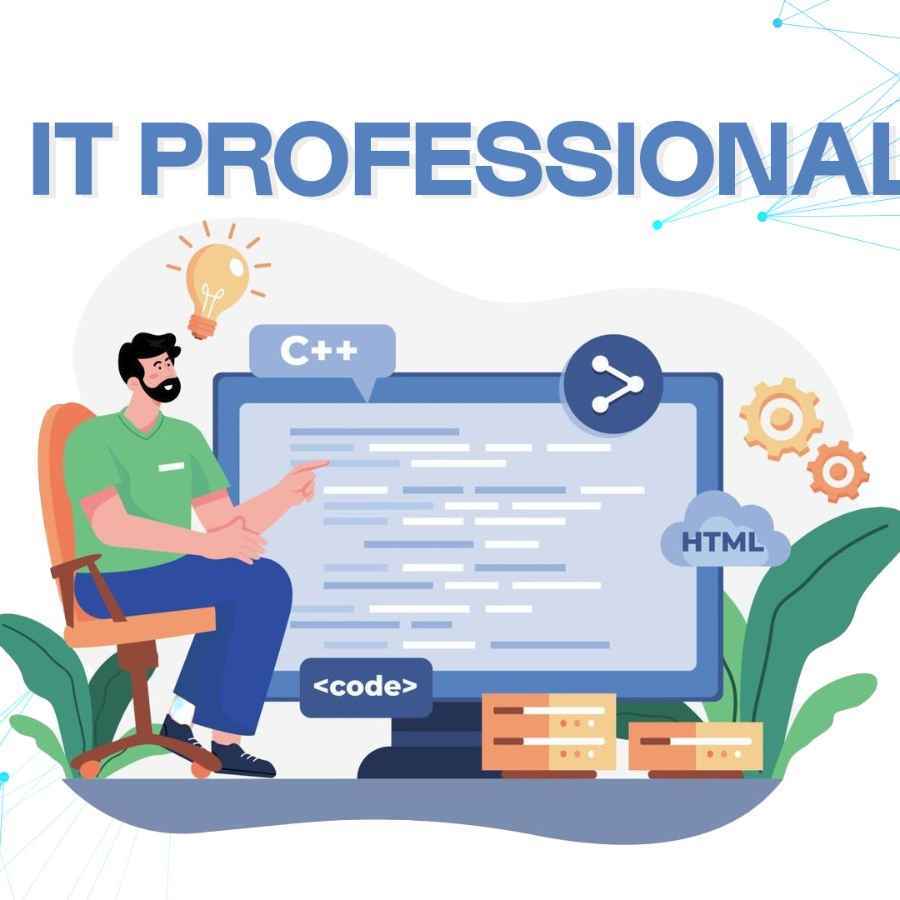 IT Professional