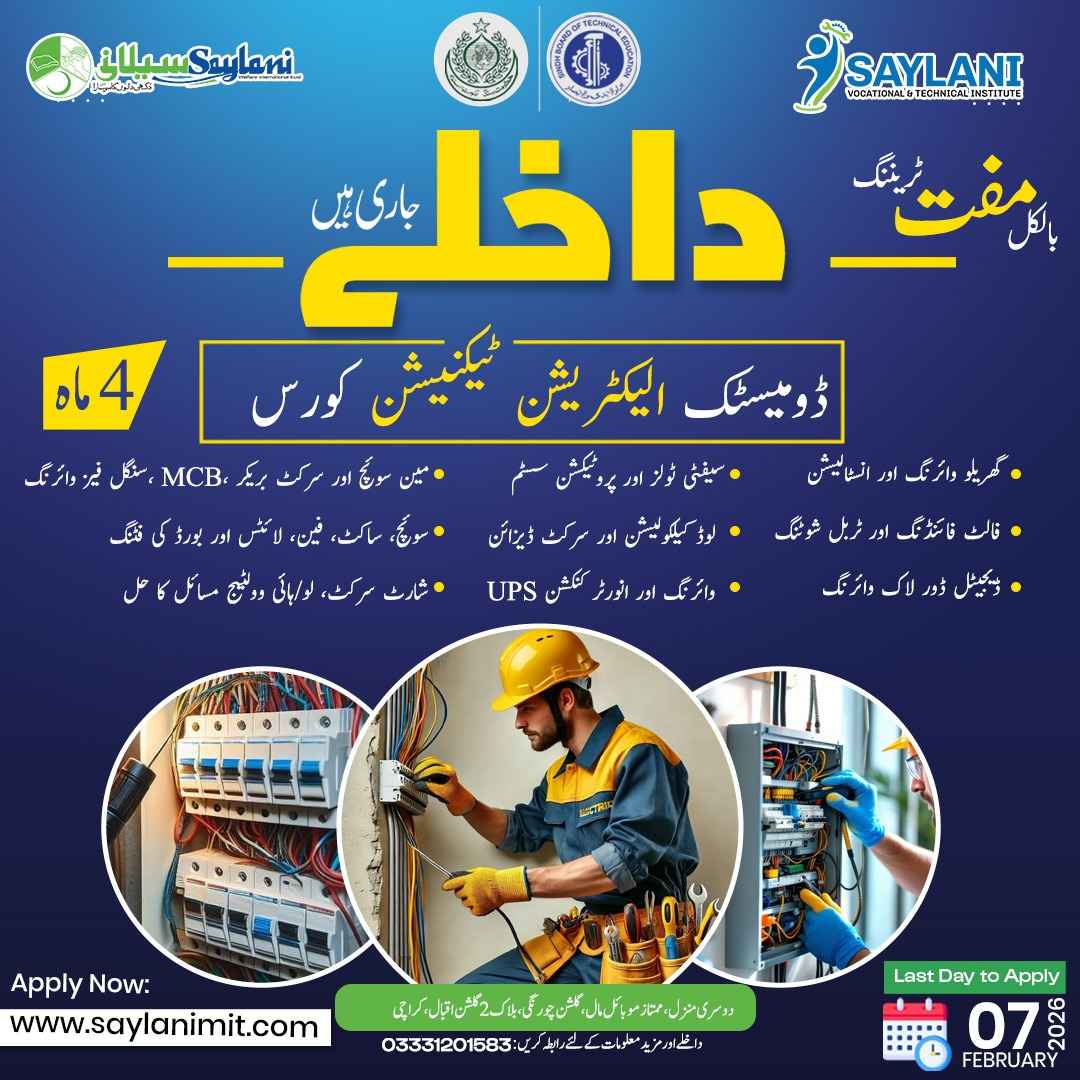 Domestic Electrician 